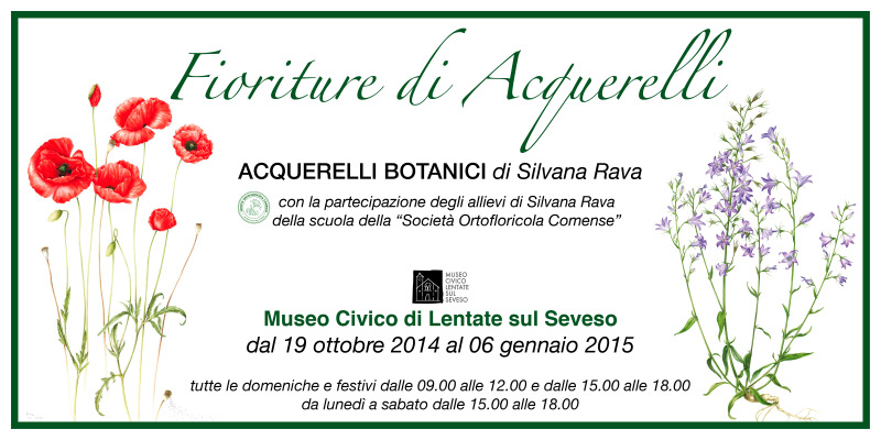 Fioriture di acquerelli - Museo Civico di Lentate