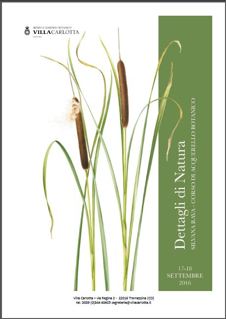 Dettagli di Natura