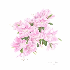 Fiori