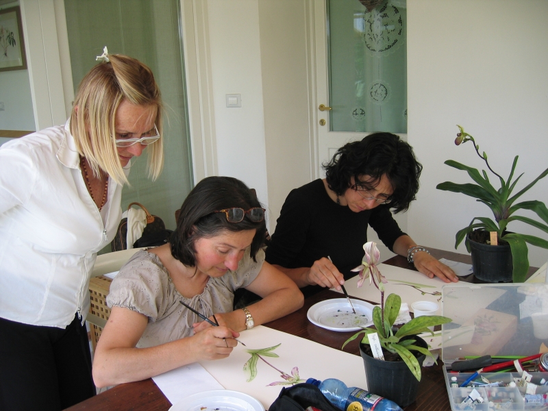 Orchids Club Italia -Treviso 2011