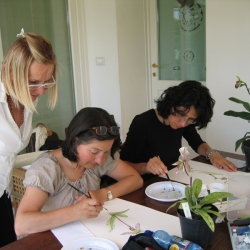 Orchids Club Italia -Treviso 2011